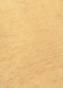 Ash Burr veneer