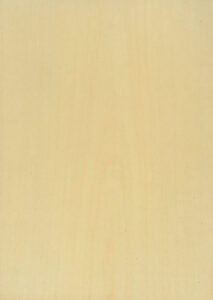 Crown Sycamore wood veneer