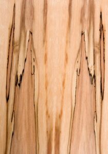 Spalted Beech wood veneer