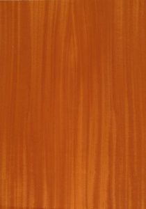 Quartered Indian Mahogany